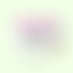 Customer Experience (CX) 101