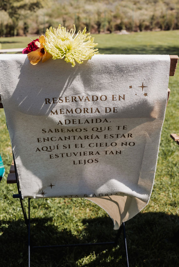 Entrada de los novios en la ceremonia de boda en Valtierra Navarra