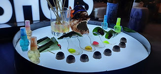 IMG-20210204-WA0033.jpg