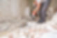 ISTOCKPHOTO_1312616955.jpg