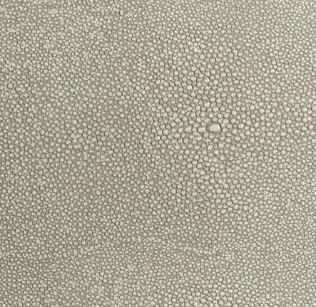 Coco-Shagreen.png