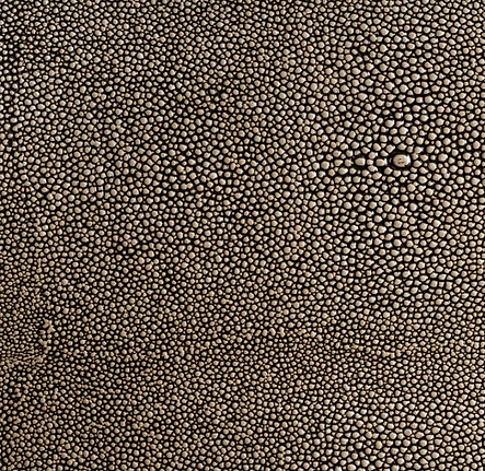 Pebble-Shagreen.png