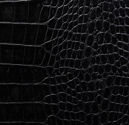 Coal-Crocodile.png