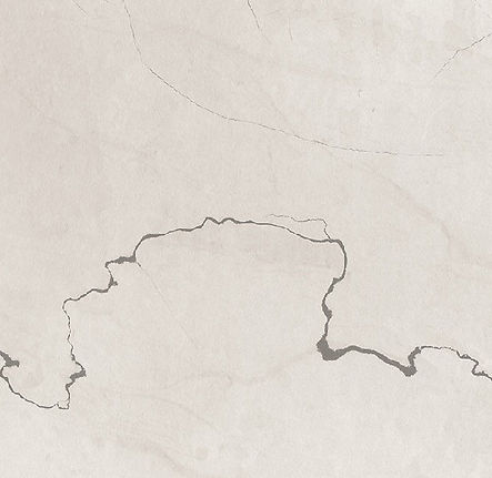 Fossil-Surface.jpg
