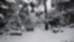 Nieve