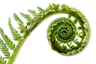 spiral.png
