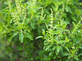 AdobeStock_372690634.jpeg