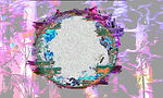 portal1.jpg