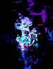 Screenshot 2023-10-12 at 1.02.34 AM.png