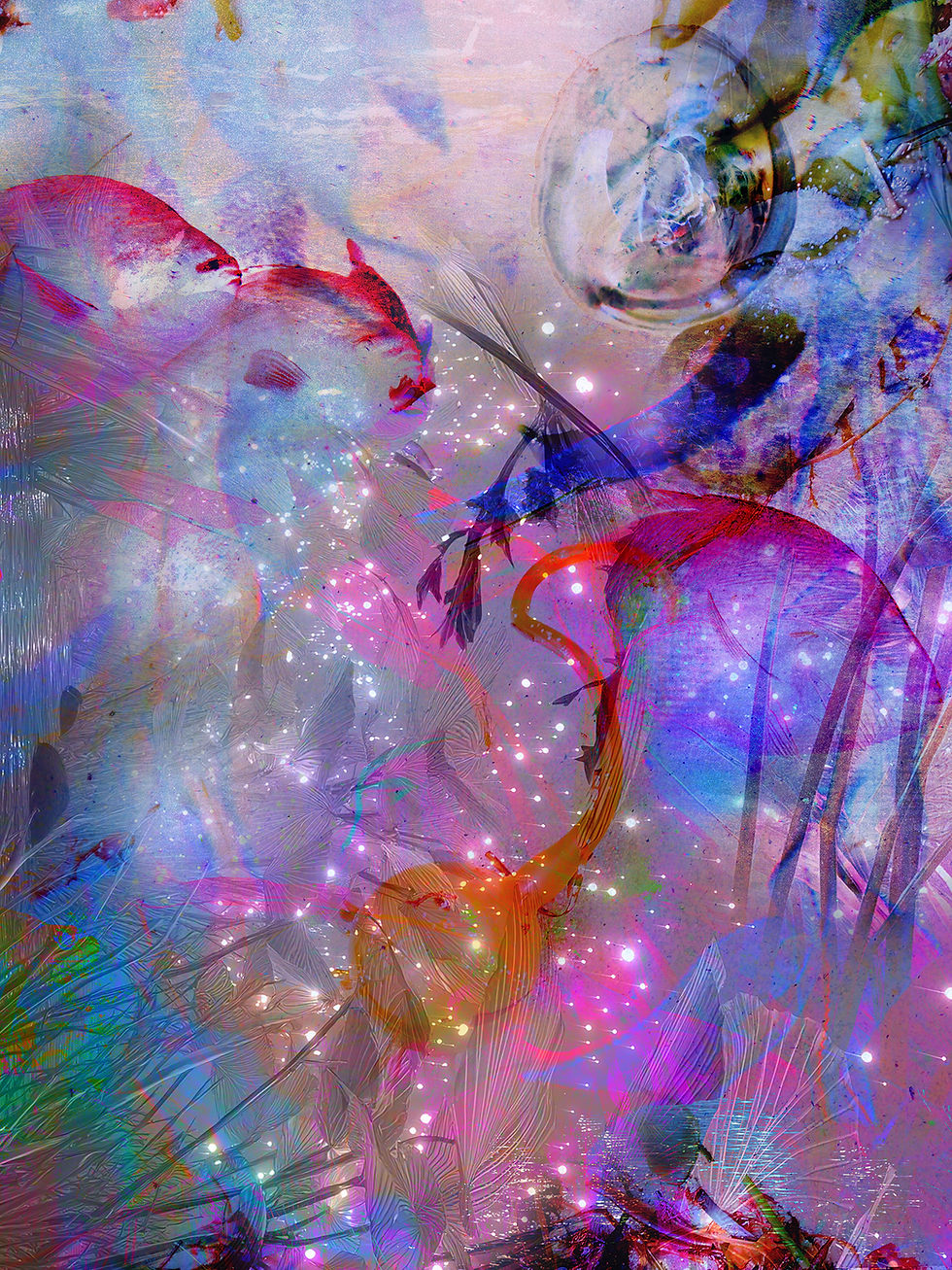 oceanic_dreaming2_lowres.jpg