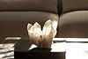 Crystal Image_edited.jpg