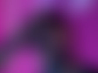 What Post-Election Narratives Reveal About the United States