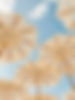 #Free-Cos-Summer-View3.jpeg