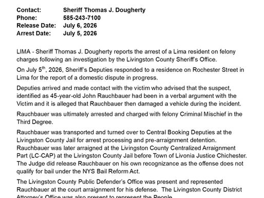 FELONY ARREST IN THE VILLAGE OF LIMA