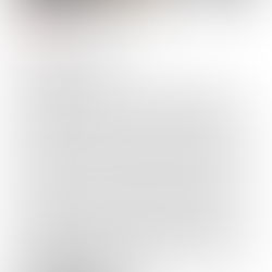 FELONY ARREST IN THE TOWN OF MOUNT MORRIS