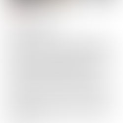 FELONY ARREST IN THE VILLAGE OF GENESEO