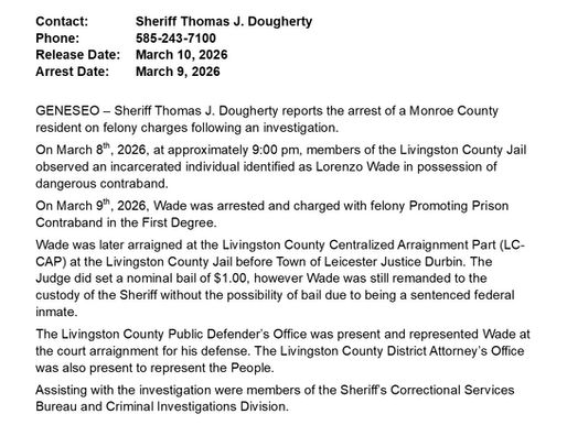 FELONY ARREST IN THE VILLAGE OF GENESEO