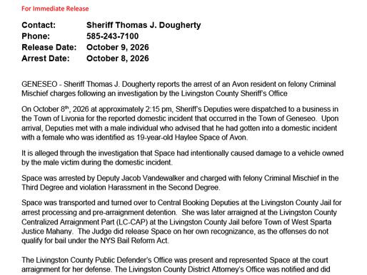 FELONY ARREST IN THE TOWN OF GENESEO
