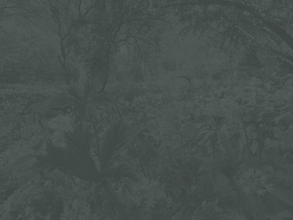 Untitled design-45.png