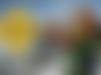 Atualizações na NR 35 Reforçam Segurança do Trabalho em Altura