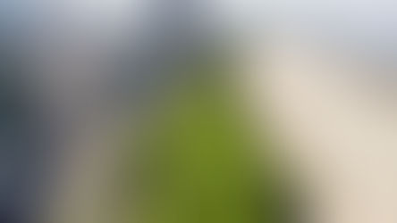 imagem áerea da orla de Santos