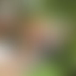 Foto de edição anterior do Pátio Criativo