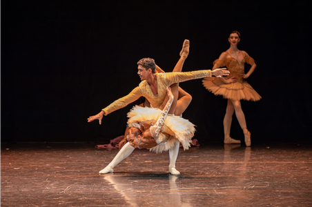 imagem apresentação