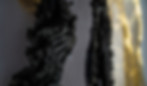 DSC08963.jpg
