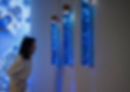DSC06609-拷贝.jpg