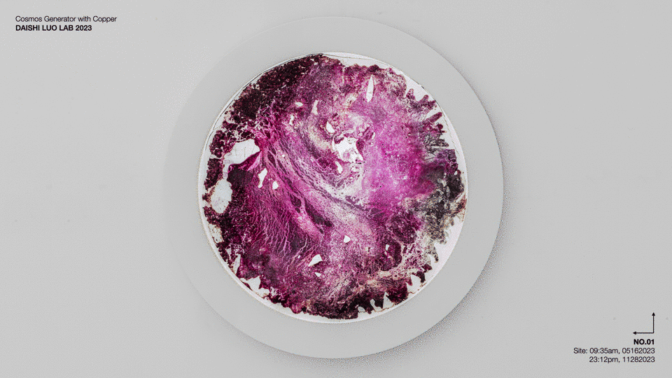 gif03.gif