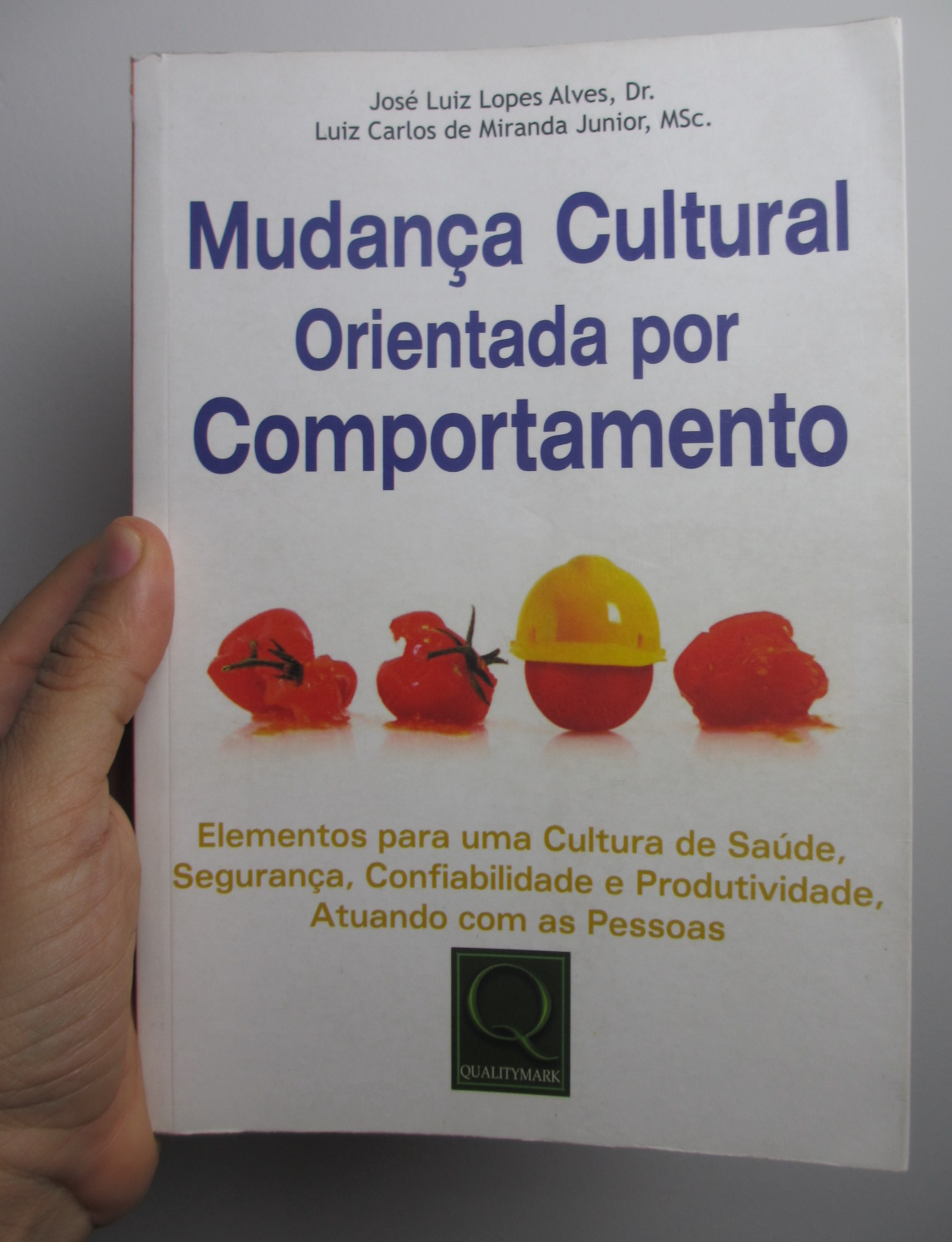 Segurança Comportamental
