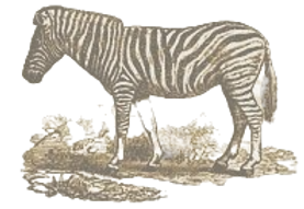 NEW BACK1_edited.png