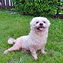 9A98BABC-118E-4239-8404-0610A5BEB39E_edited.jpg