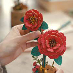 Thumbnail: Red Poppy