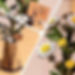 Thumbnail: Sunny Daisies