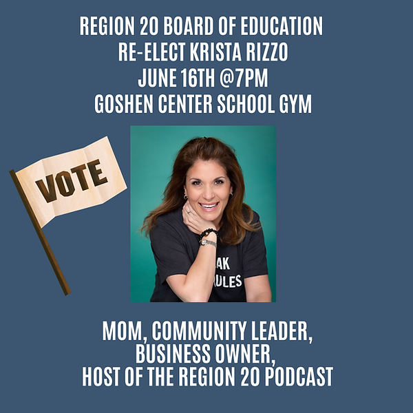 krista boe vote.png