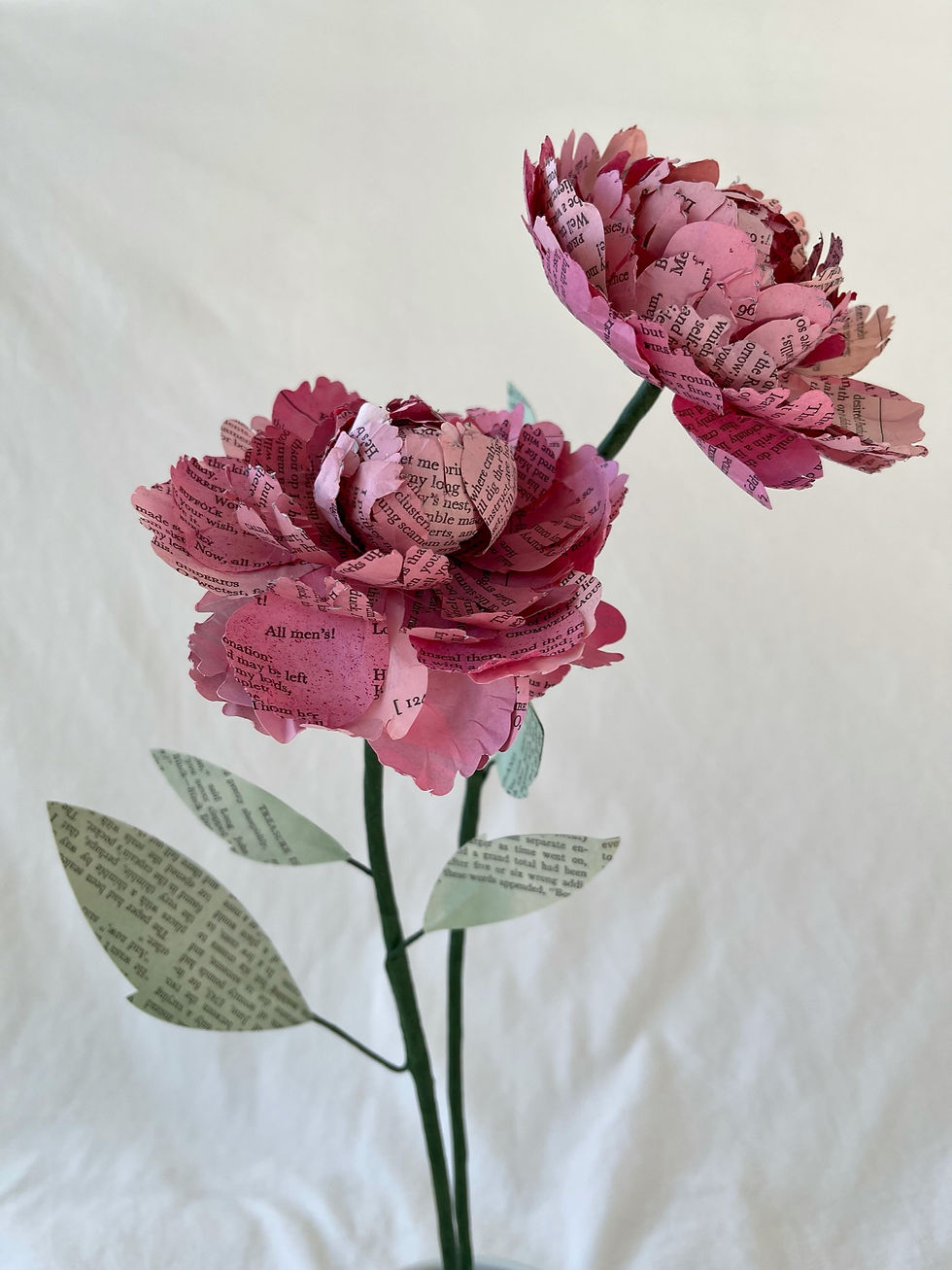 Peony