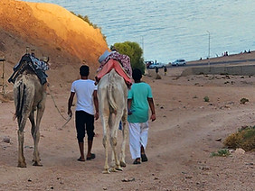 20220819_172814_edited_edited.jpg