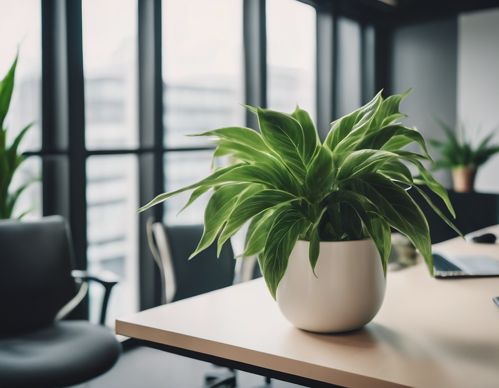 Sustainable Fit-Out Solutions: Enhancing Workspaces with Green Design