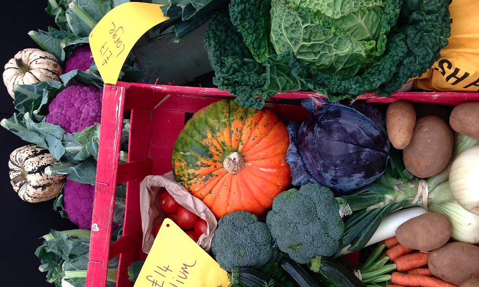 delicious veg from the Cornish Food Box