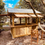 Thumbnail: optional shutters