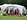 Yoga at the Croft