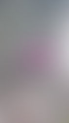 SNOW FOR VALENTINE's MAYBE: