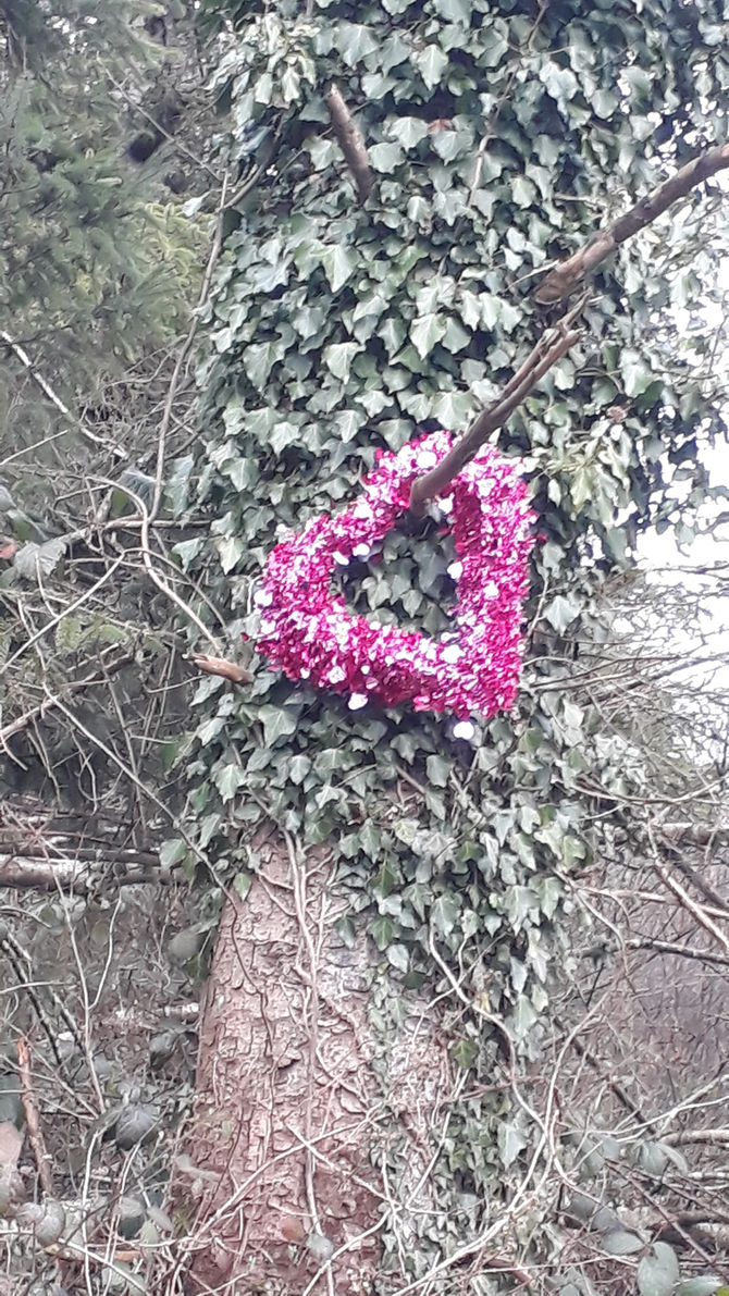 SNOW FOR VALENTINE's MAYBE: