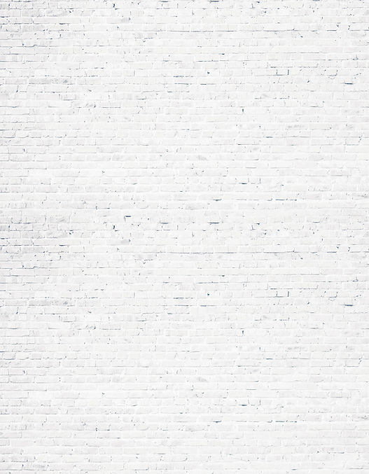 BrickWallBKG_150res.jpg