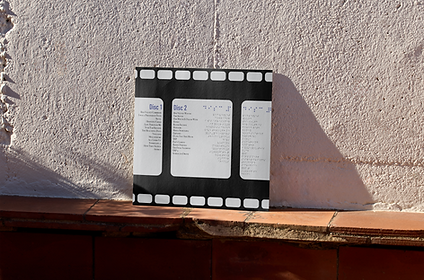 SFTB album back cover mockup smaller.png