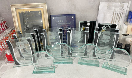 Terri Tibbles 34 National Beauty, Aesthetics, Training, Laser and Lifetime achievement Awards