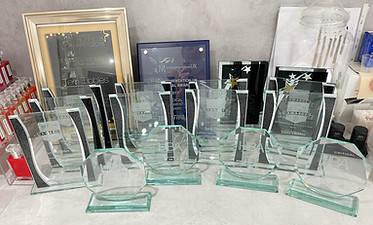 Awards Terri Tibbles