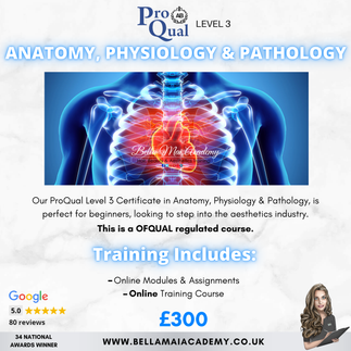 Bella Mai Academy ProQual Ofqual Regulated Level 3 Anatomy & Physiology Online Training Course Essex