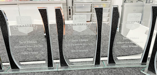 Terri Tibbles Winner Microblading Expert of the Year & Laser Hair Removal Expert of the Year & Aesthetic Clinic of the Year, The British Hair & Beauty Awards 2023